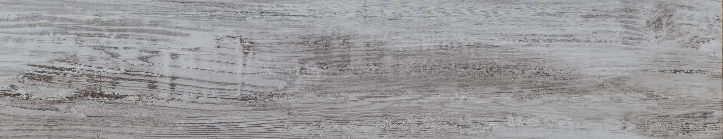 Береза Божоле - Фото 1 Береза Божоле - Фото 1