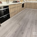 45046 Дуб Антарес - Фото 1 45046 Дуб Антарес - Фото 1