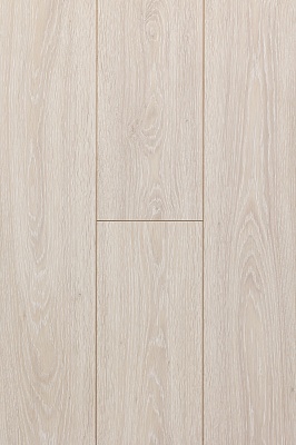 ДУБ АНТСКИЙ