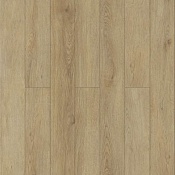 Зиркон J1006
