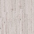 CHAPMAN OAK 05221