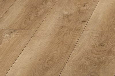 D2594 Oak Seltic (Дуб Селтик) 