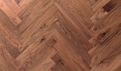 Американский Орех Кангари / Congaree