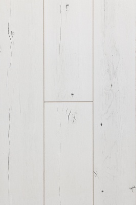 ДУБ МАКЕДОНСКИЙ