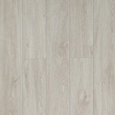 J1923 Дуб Гриффит