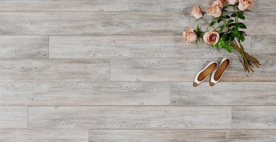 102 Дуб Тенерифе