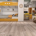 AI105 Дуб Литопс - Фото 2