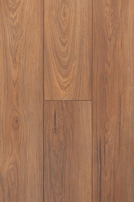 ДУБ САРМАТСКИЙ