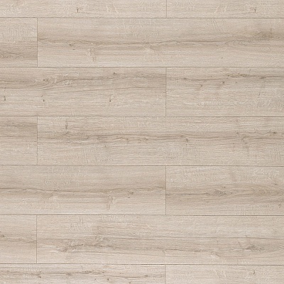 Дуб Шерман светлый