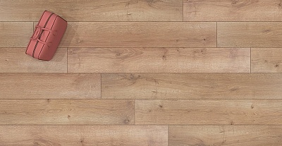 57 Вяз Квебек