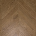 F628 Дуб Фулхем F628 Дуб Фулхем