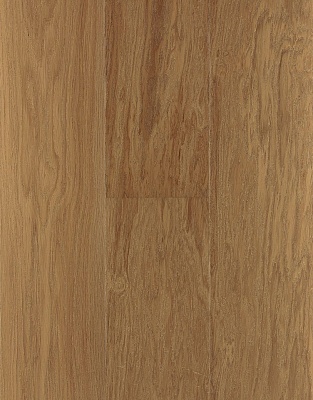 Дуб Античный 1п