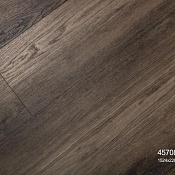 45708 Дуб Семпре