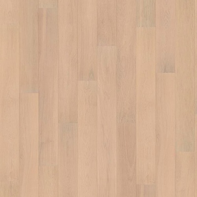 Дуб Песочно Белый 1п