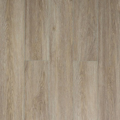 J1928 Дуб Плимут