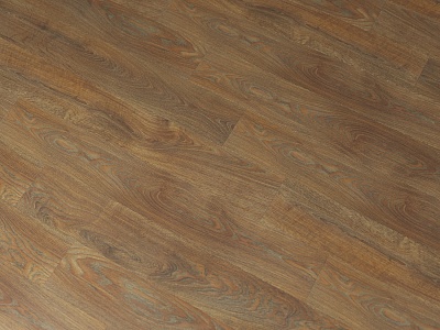 Дуб Сицилия