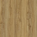 Феррара J1009