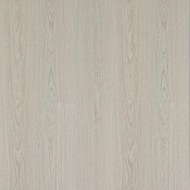 J1922 Дуб Ренмарк