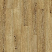 Таксония RC004