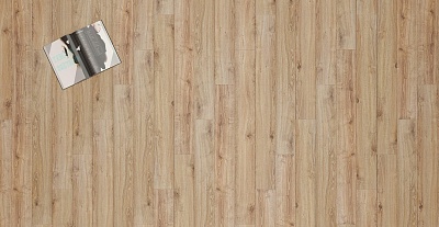 104 Дуб Самора