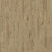 AUTUMN OAK