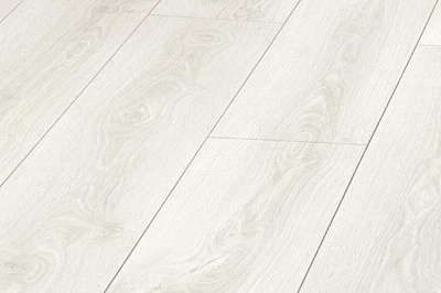 D3035 Oak Himalajski (Дуб Гималайский)