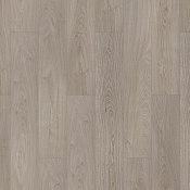 41105 Рапсодия