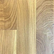 Дуб Кронштадтский