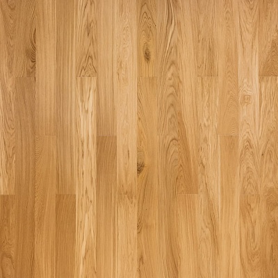 Дуб Элегантный