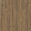  MAJOR OAK 05855