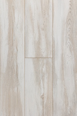 ДУБ ВИЗАНТИЙСКИЙ