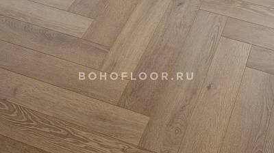 Дуб Венский
