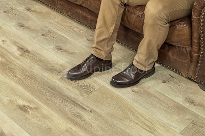 Дуб Песчаный