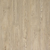 J1927 Дуб Тонтон