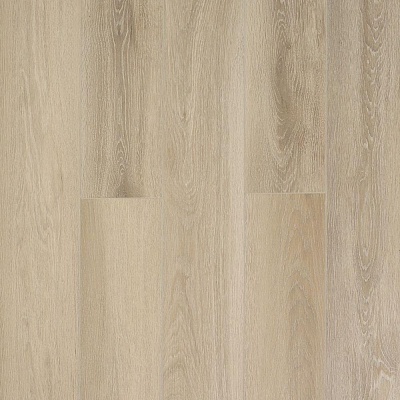 J1925 Дуб Лонгфорд