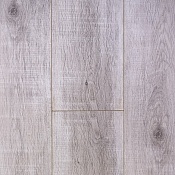 3381 Канистель