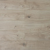 4019 Джеронимо